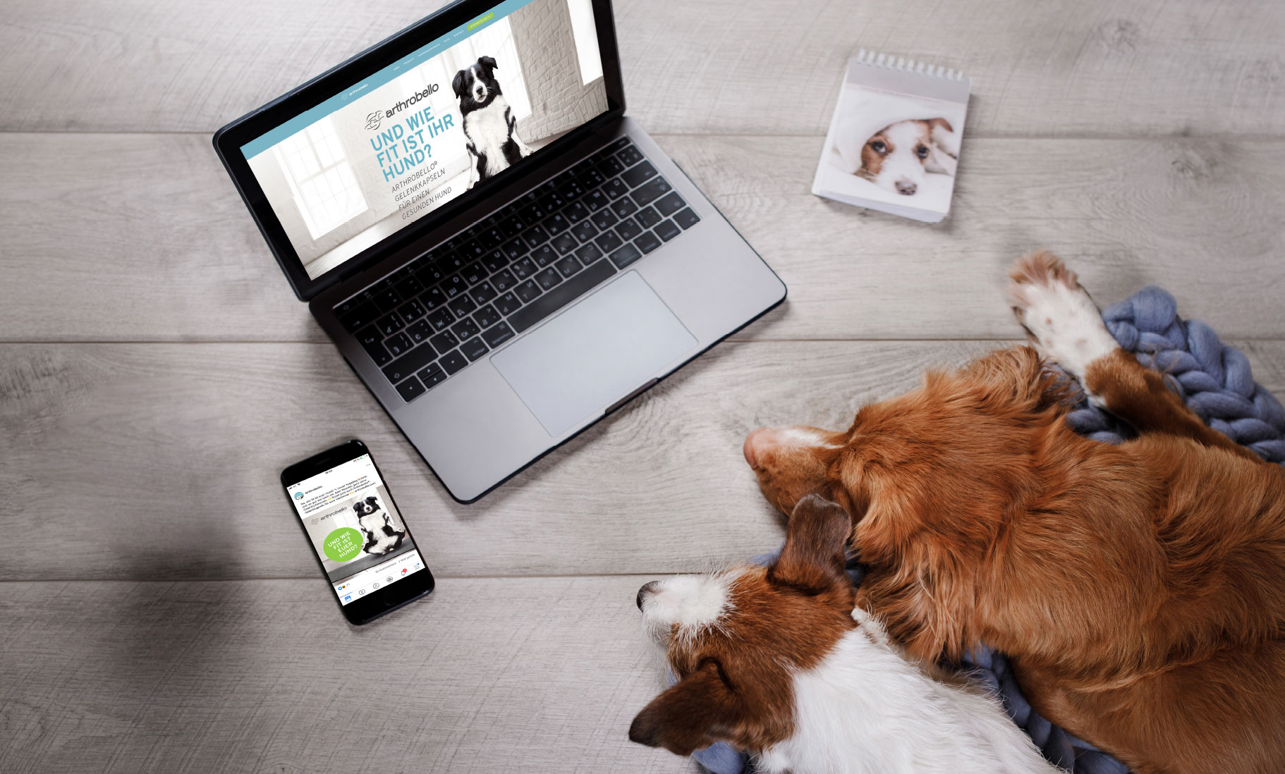 Hunde vor Laptop und Handy